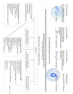Организационная структура 2024 сентябрь